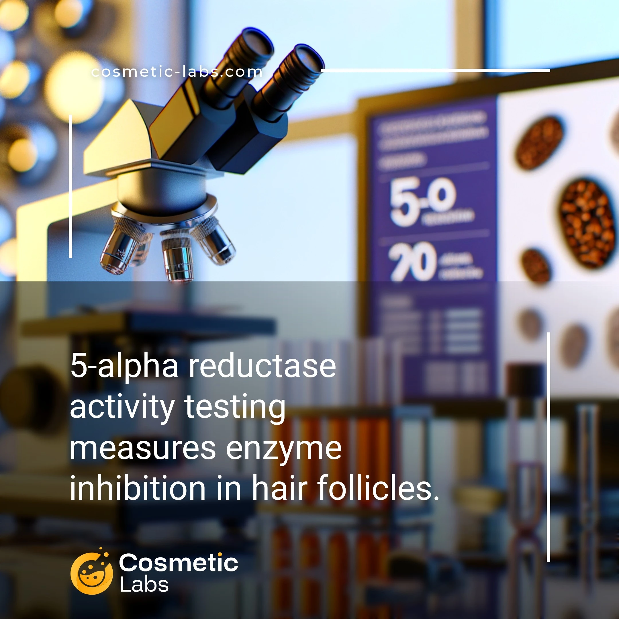 Illustration of 5-alpha reductase activity services. 5-alpha reductase activity testing measures enzyme inhibition in hair follicles.