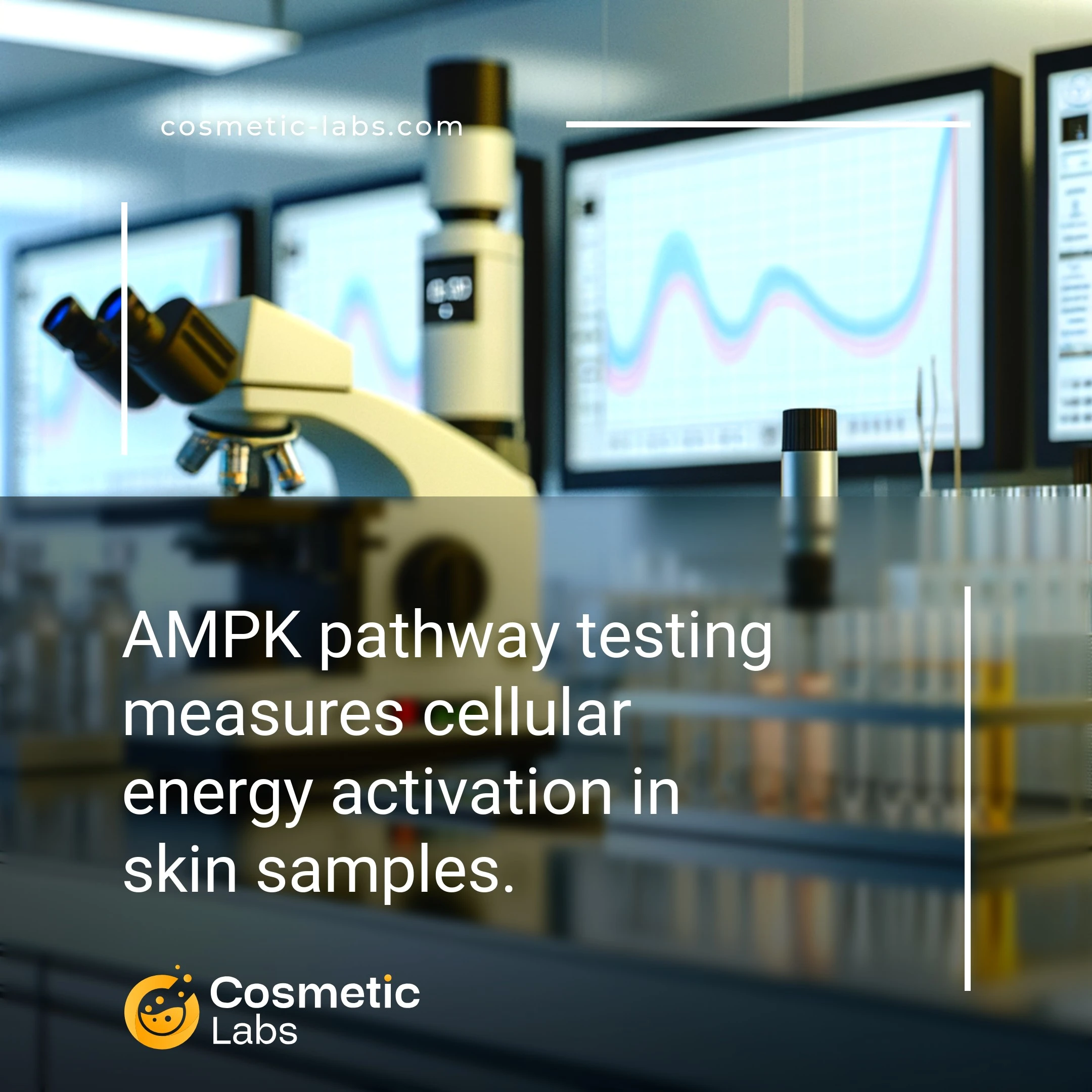 Illustration of Energy sensor pathways (AMPK) testing services. AMPK pathway testing measures cellular energy activation in skin samples.