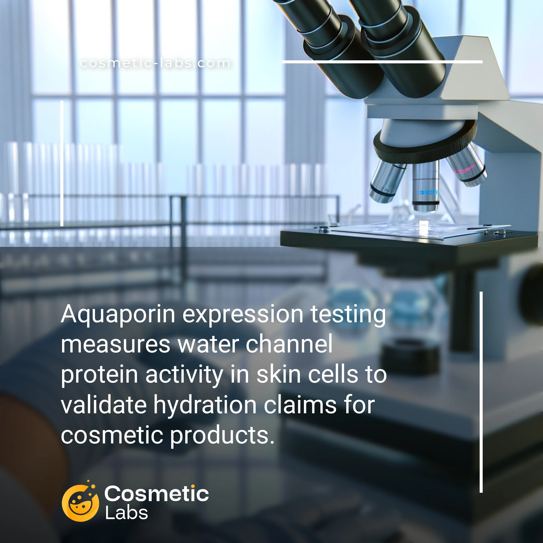 Illustration of Aquaporin expression services. Aquaporin expression testing measures water channel protein activity in skin cells to validate hydration claims for cosmetic products.