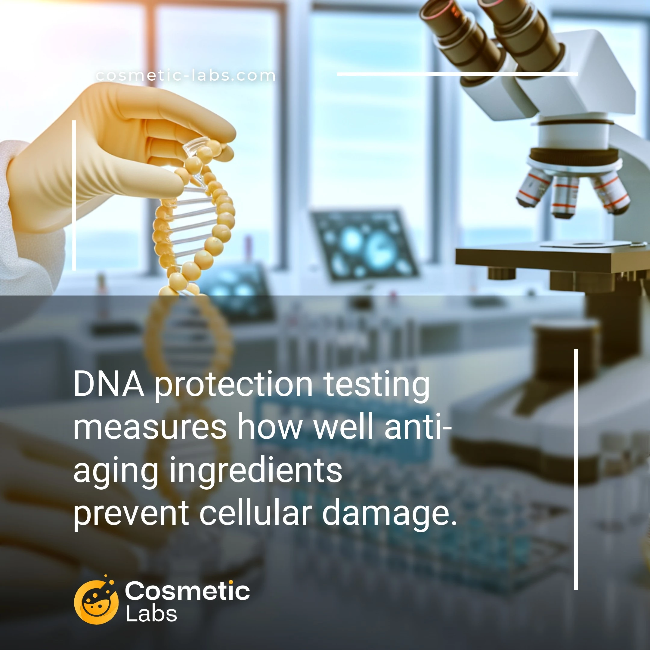 Illustration of DNA protection testing services. DNA protection testing measures how well anti-aging ingredients prevent cellular damage.