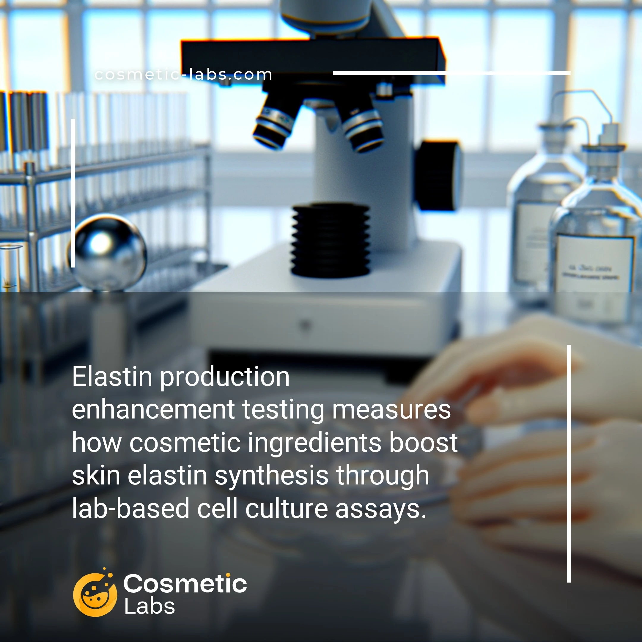 Illustration of Elastin production enhancement testing services. Elastin production enhancement testing measures how cosmetic ingredients boost skin elastin synthesis through lab-based cell culture assays.