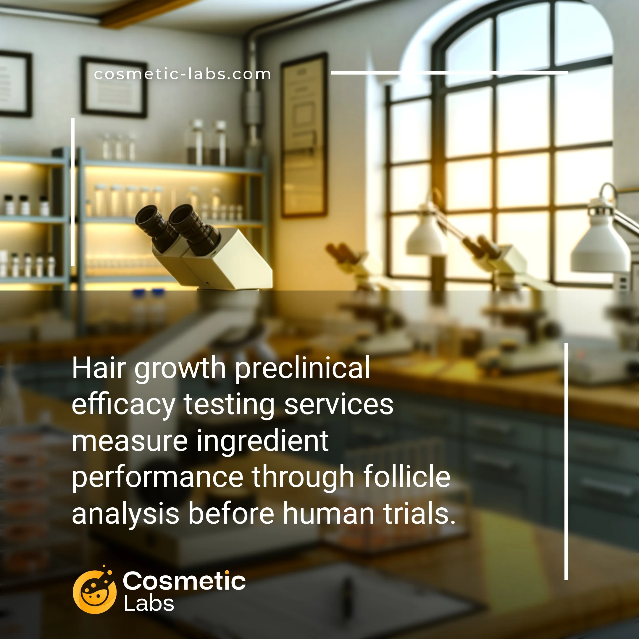 Illustration of Hair growth efficacy testing services. Hair growth preclinical efficacy testing services measure ingredient performance through follicle analysis before human trials.