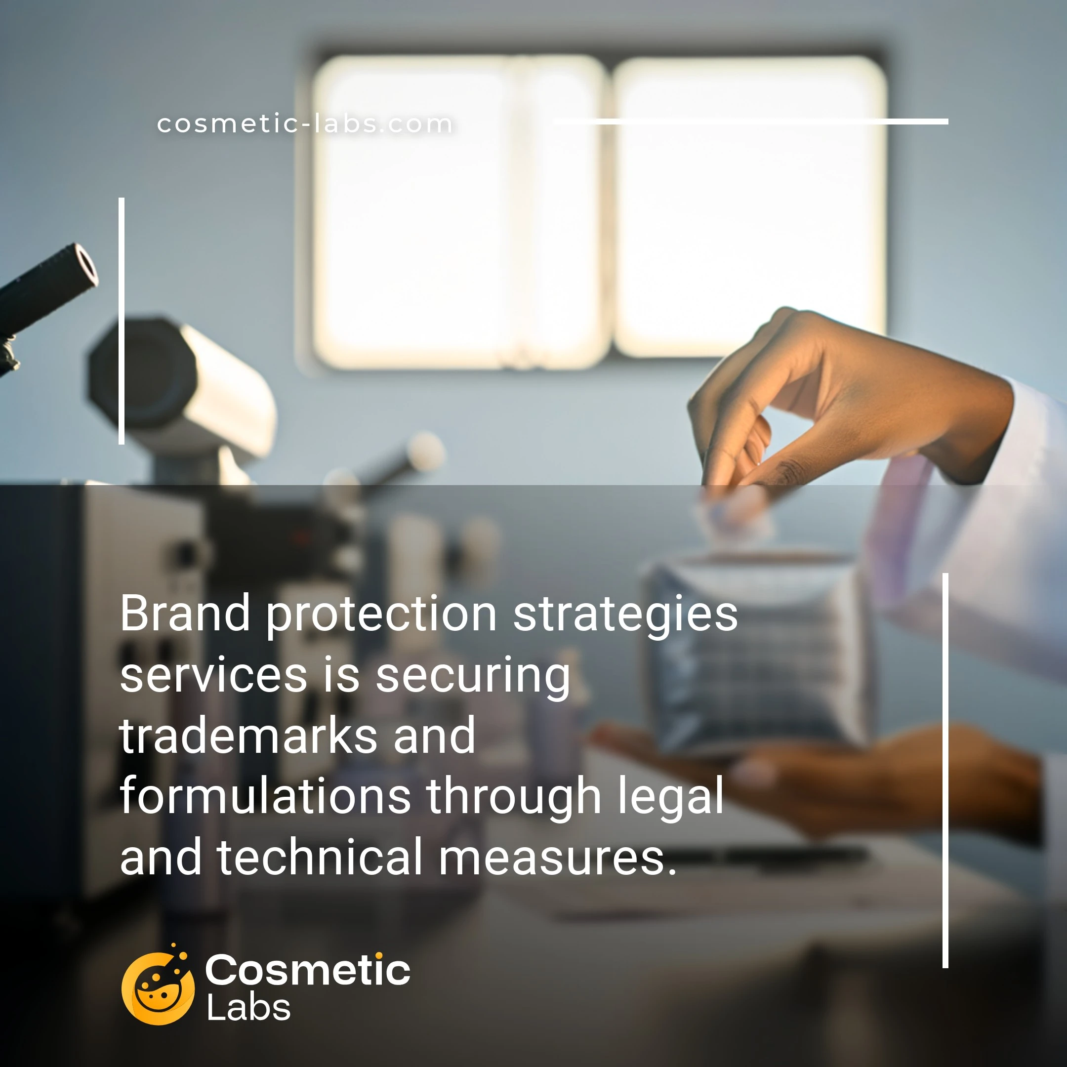Illustration of Brand protection strategies services. Brand protection strategies services is securing trademarks and formulations through legal and technical measures.