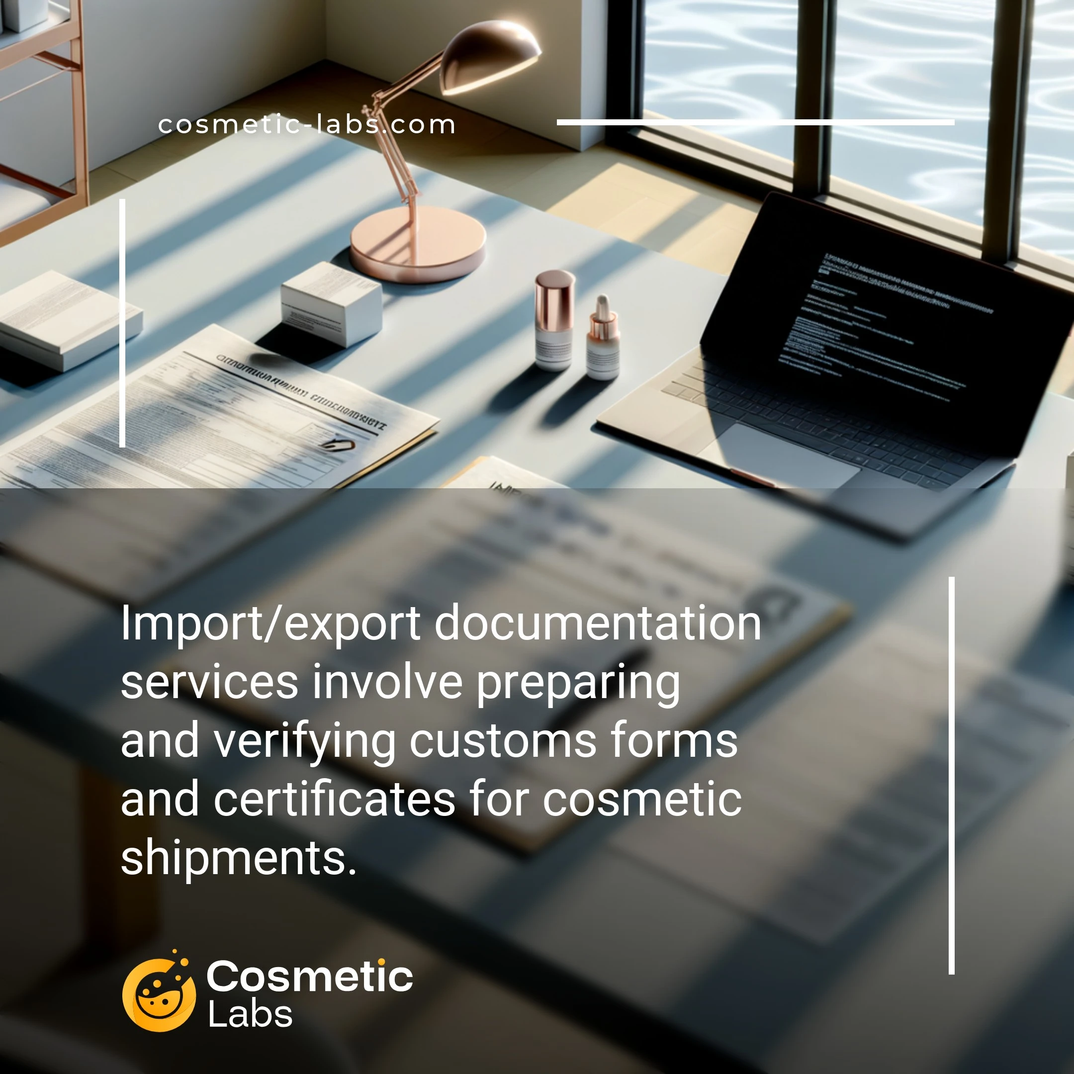 Illustration of Import/export documentation services. Import/export documentation services involve preparing and verifying customs forms and certificates for cosmetic shipments.