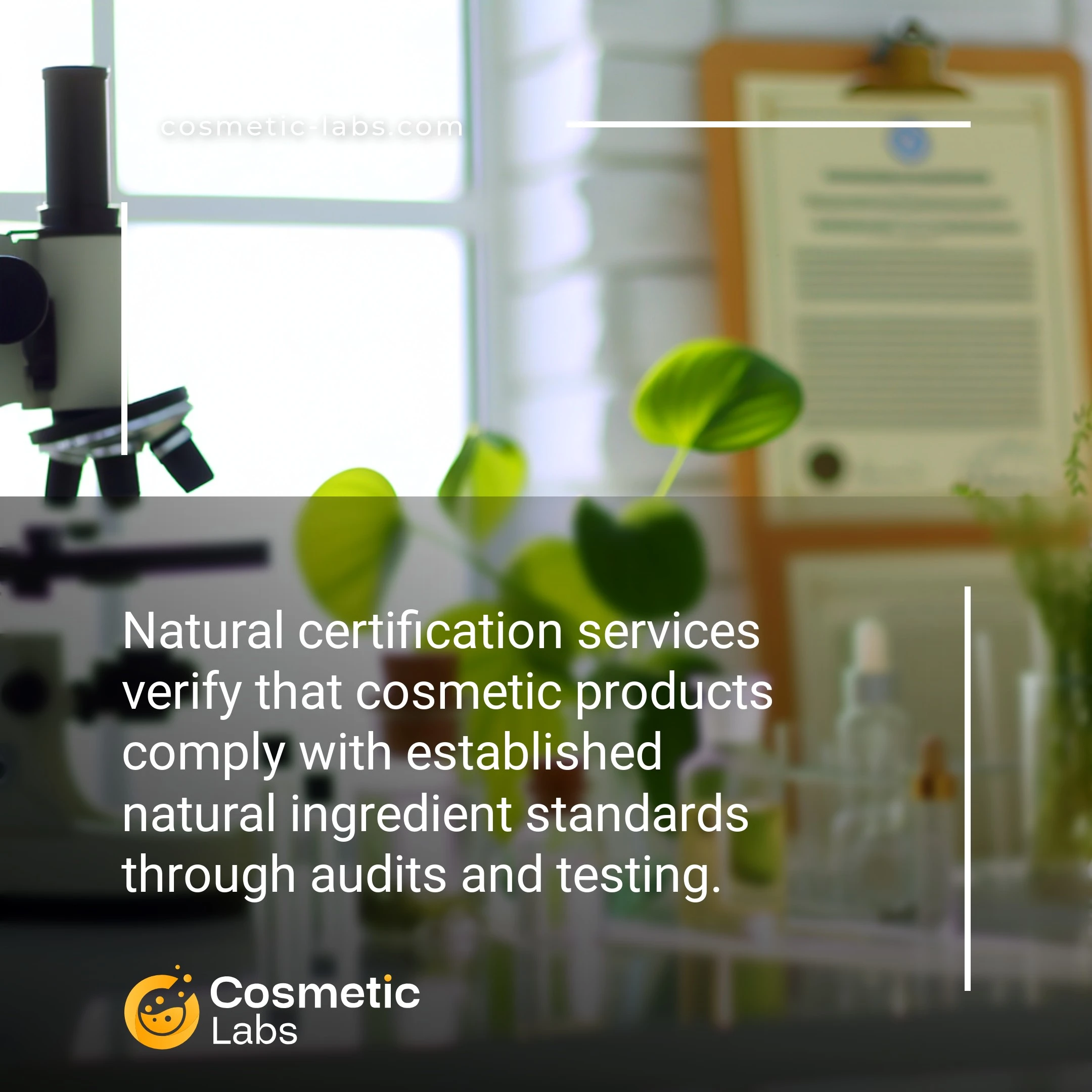 Illustration of Natural certification services. Natural certification services verify that cosmetic products comply with established natural ingredient standards through audits and testing.