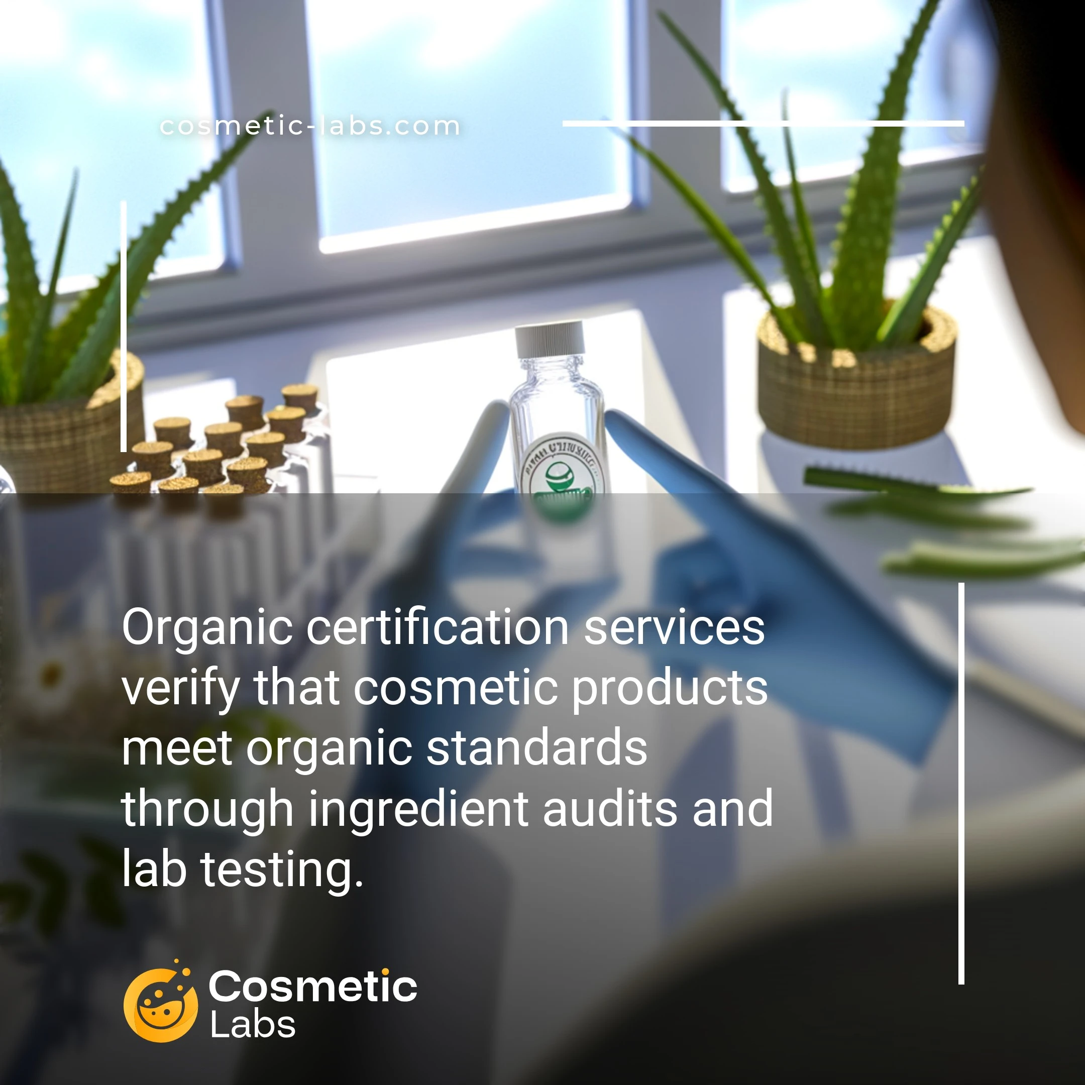 Illustration of Organic certification services. Organic certification services verify that cosmetic products meet organic standards through ingredient audits and lab testing.